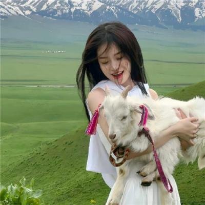 金牌贱猫:重新出击